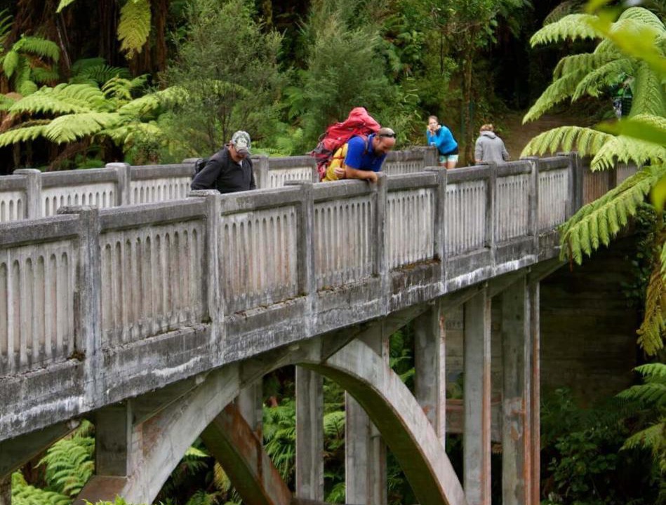Photo of Others in Taumarunui