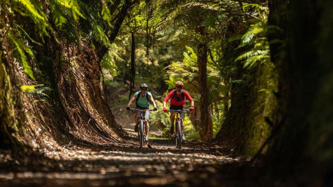 Photo of Others in Taumarunui