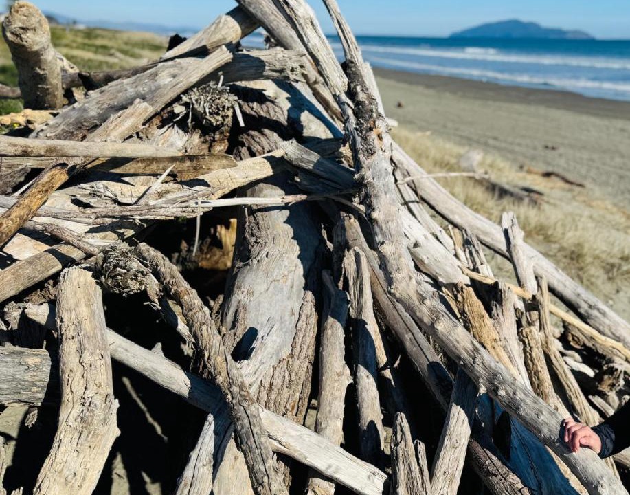 Photo of Others in Waikanae
