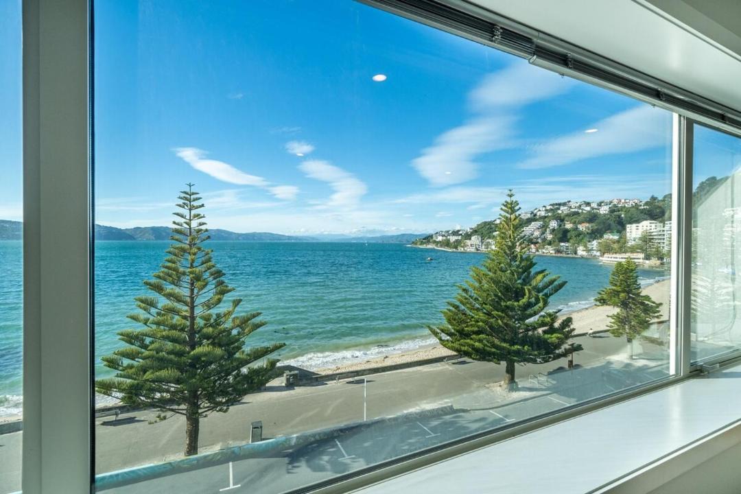 Photo of Others in Oriental Bay