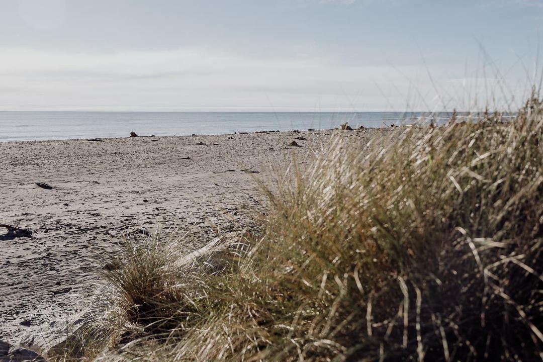 Photo of Others in Hokitika