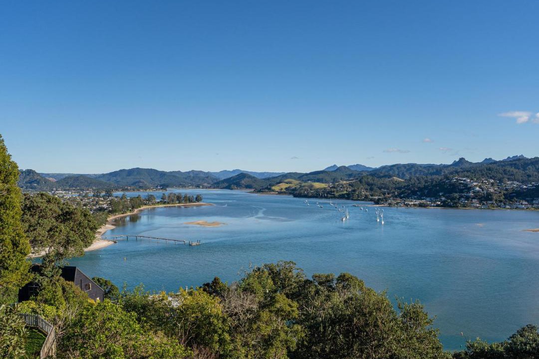 Photo of Others in Tairua