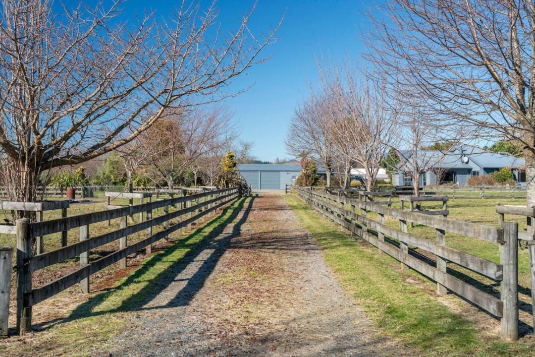 Photo of Others in Turangi