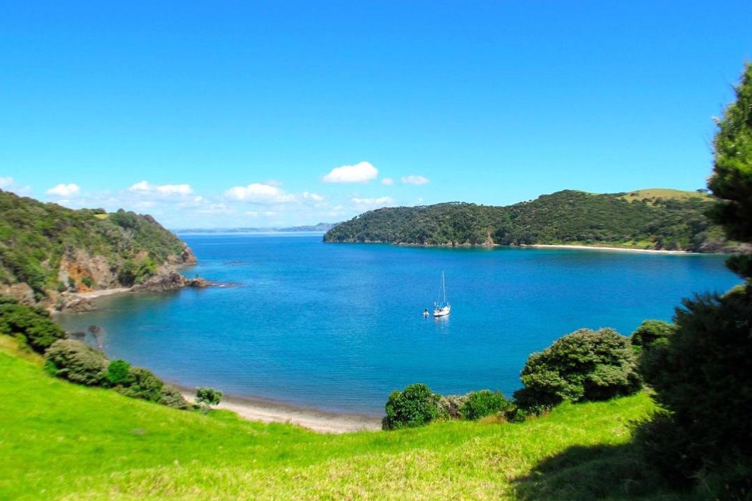 Photo of Others in Paihia