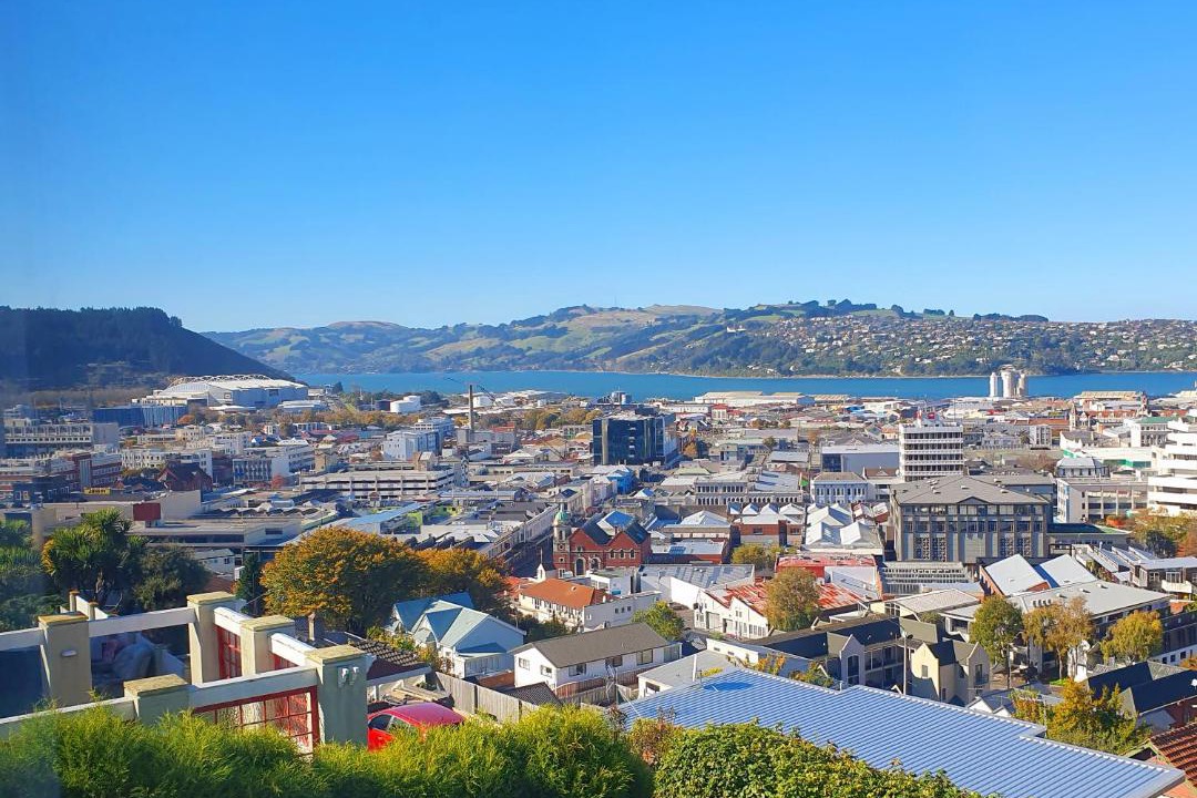 Photo of Others in Dunedin City Centre