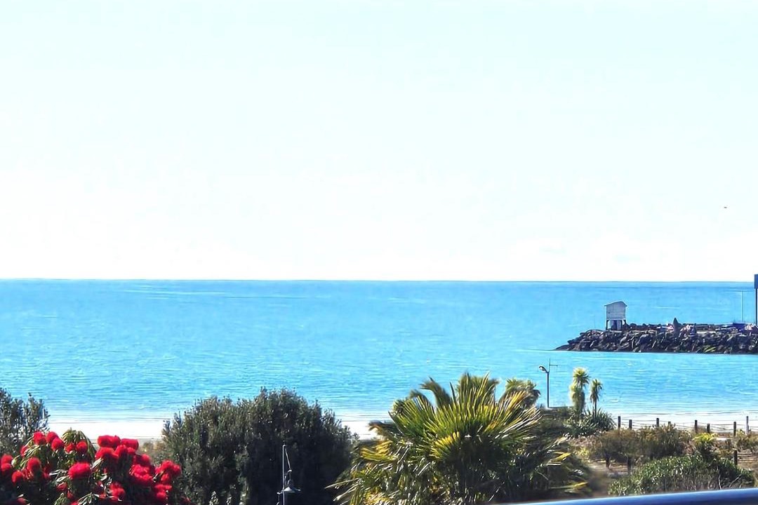 Photo of Others in Timaru