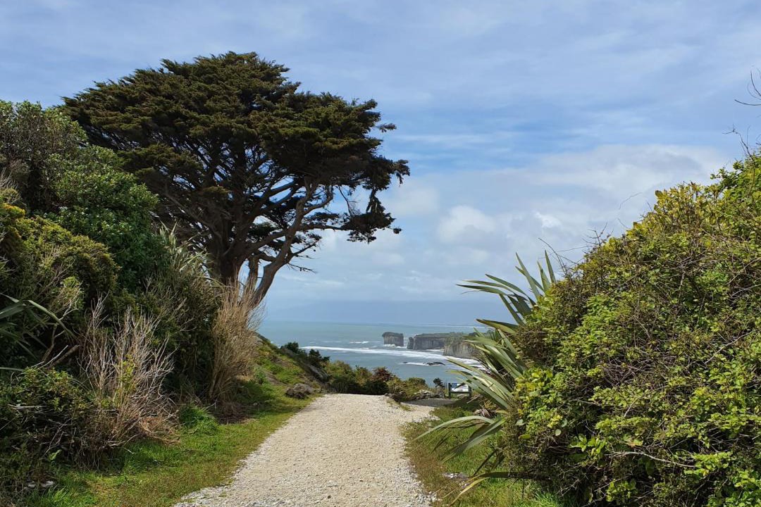 Photo of Others in Cape Foulwind