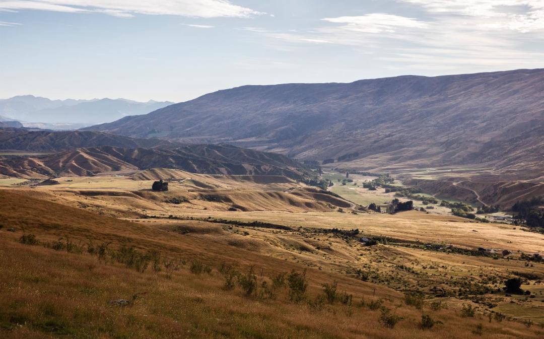 Photo of Others in Cardrona