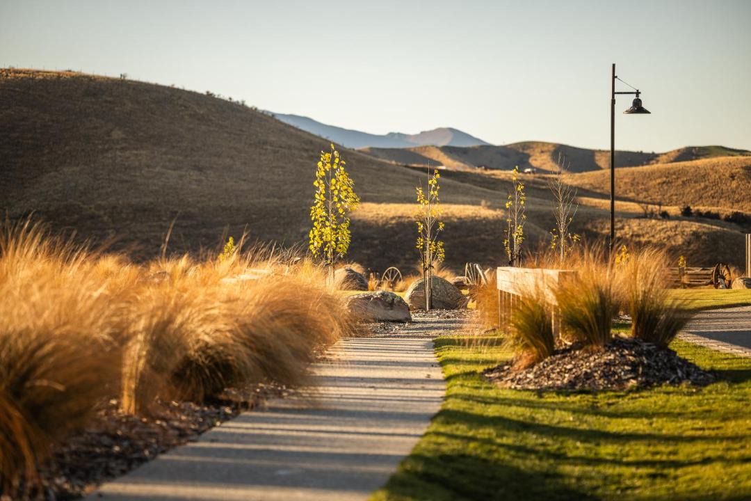 Photo of Others in Cardrona