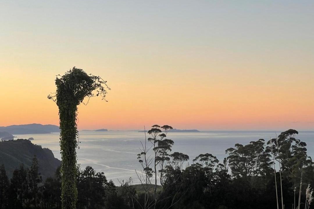 Photo of Others in Whiritoa