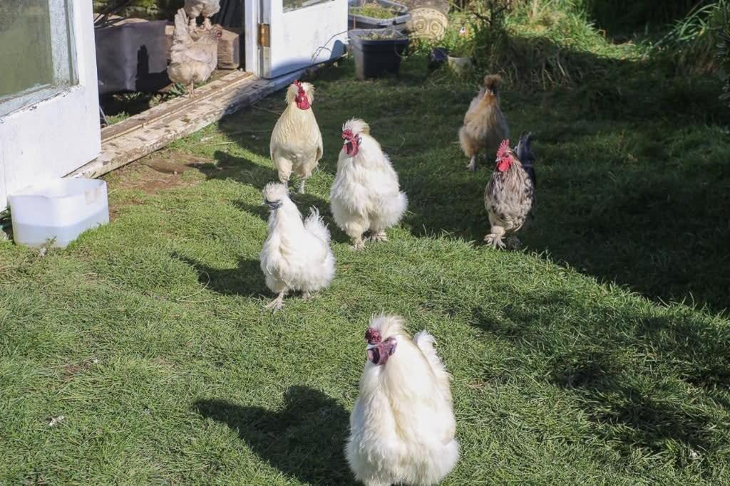 Photo of Others in Midhirst