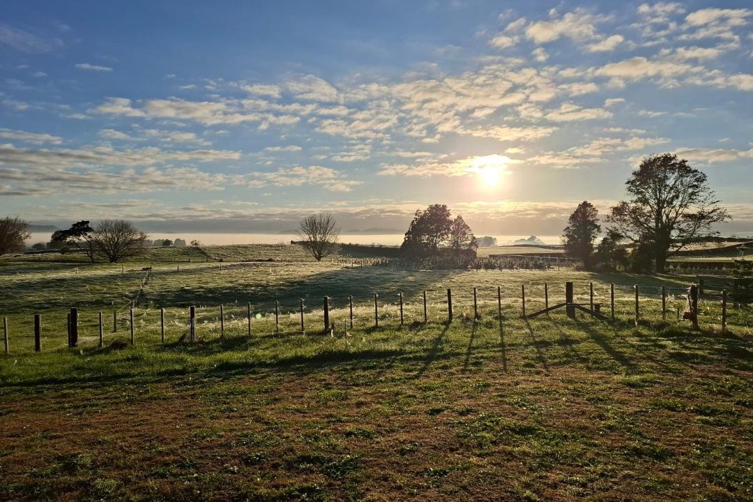 Photo of Others in Waihi