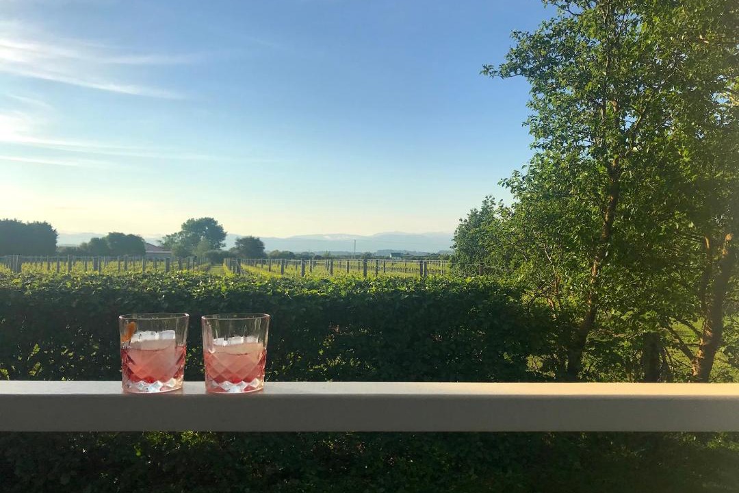 Photo of Others in Martinborough