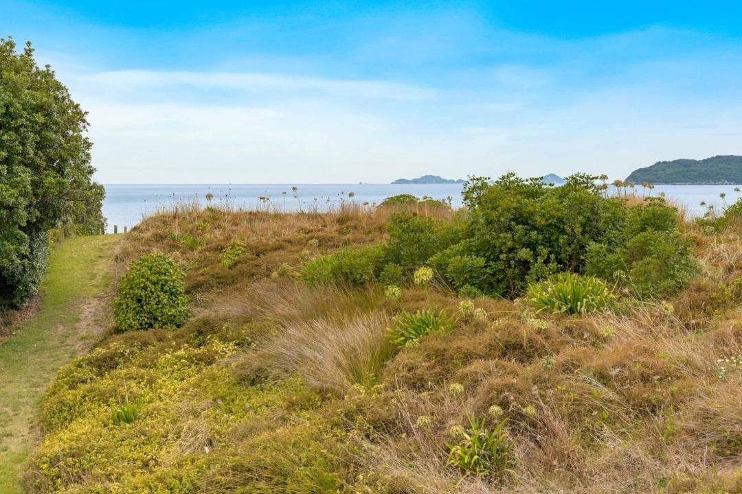 Photo of Others in Tairua