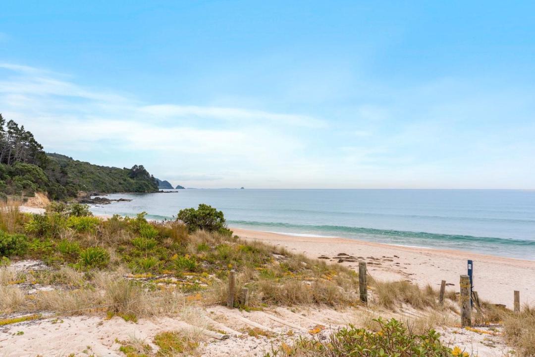 Photo of Others in Tairua