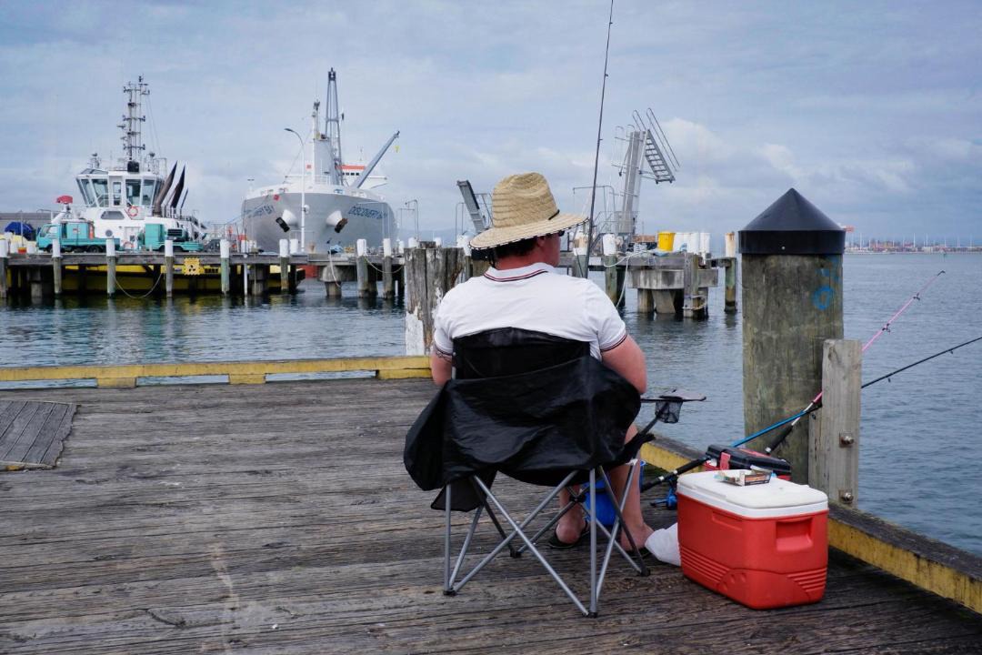 Photo of Others in Welcome Bay