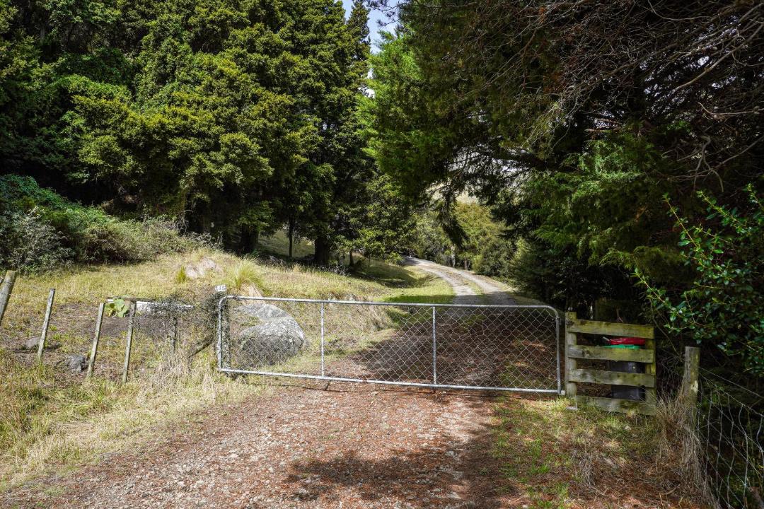 Photo of Others in Christchurch District