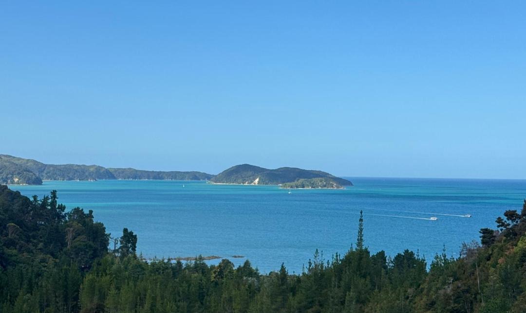 Photo of Others in Ngaio Bay