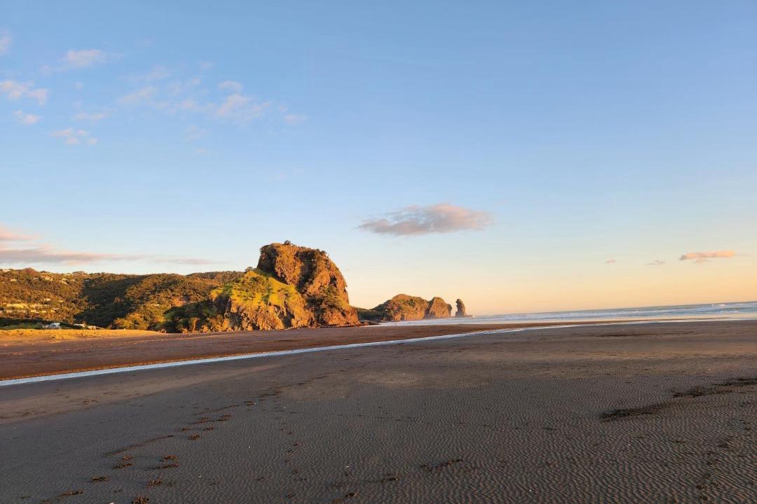 Photo of Others in Piha