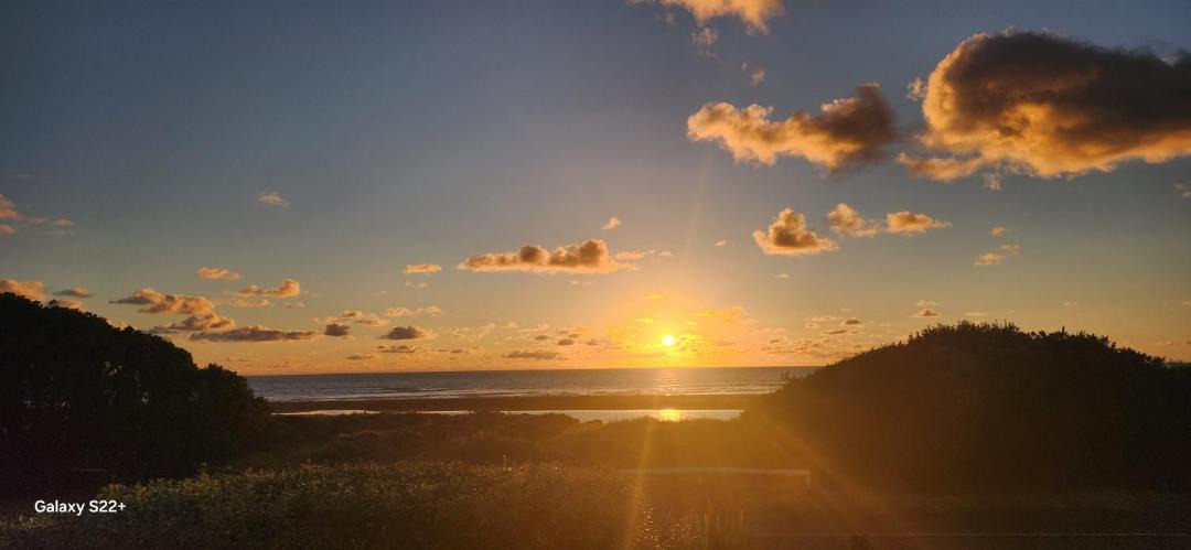 Photo of Others in Piha