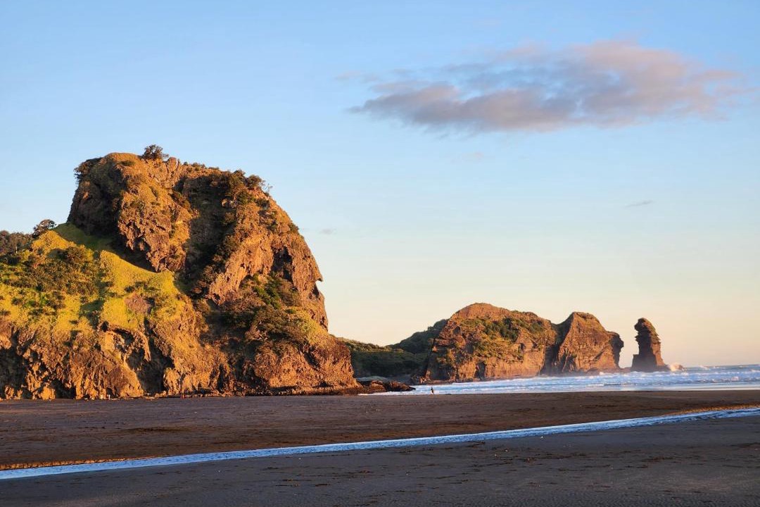 Photo of Others in Piha