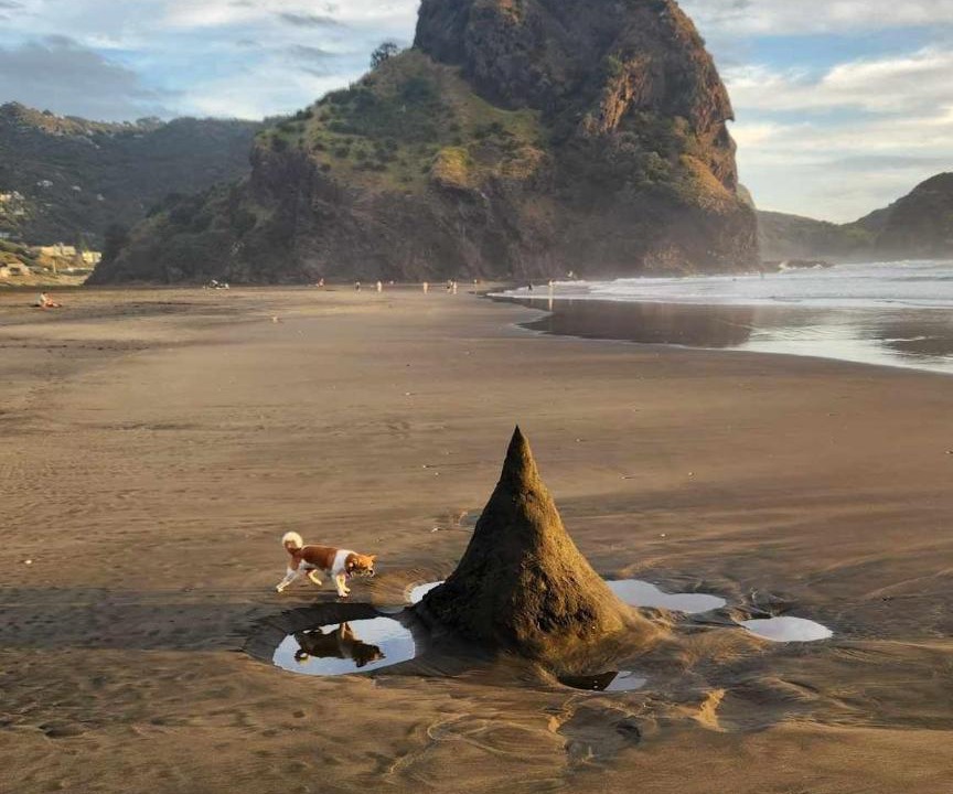 Photo of Others in Piha
