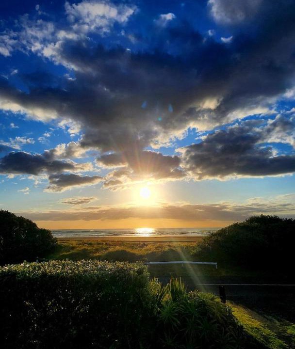 Photo of Others in Piha