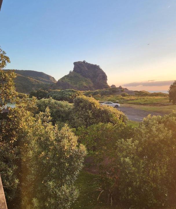 Photo of Others in Piha