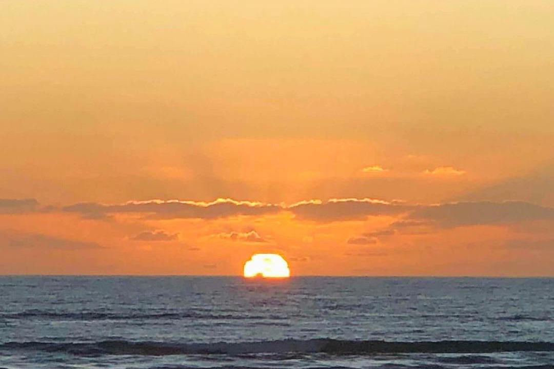 Photo of Others in Piha