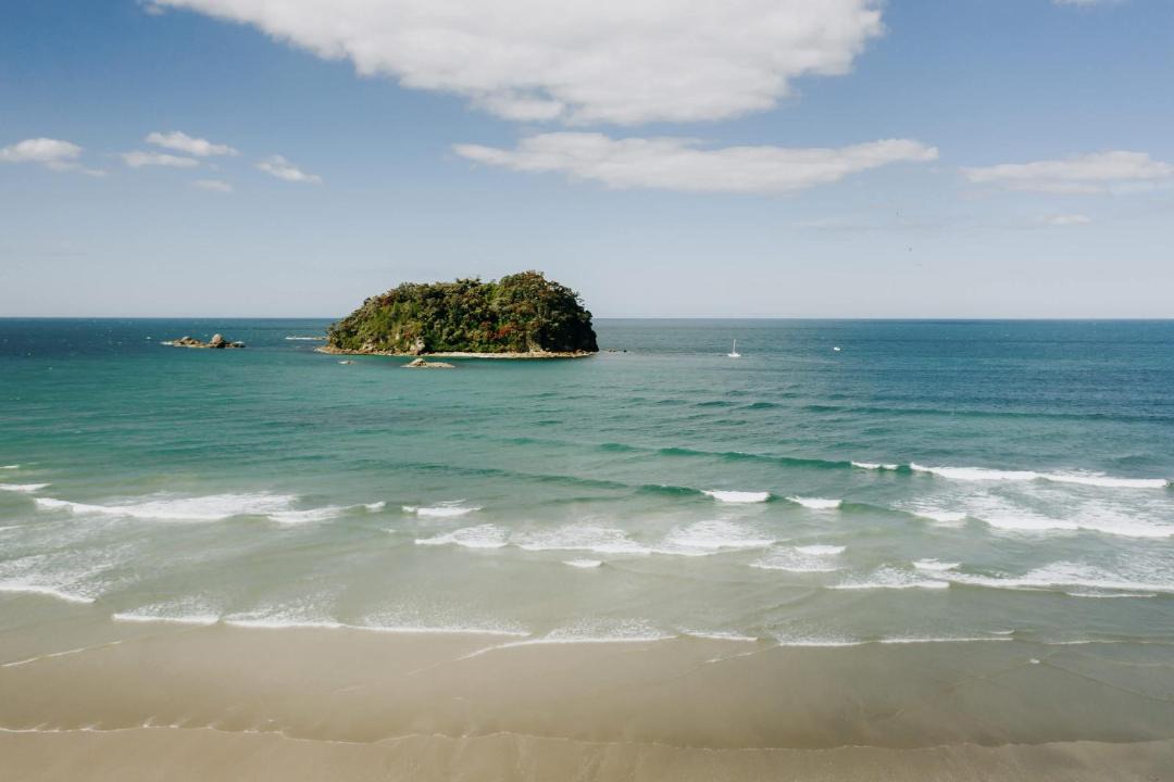 Photo of Others in Mount Maunganui