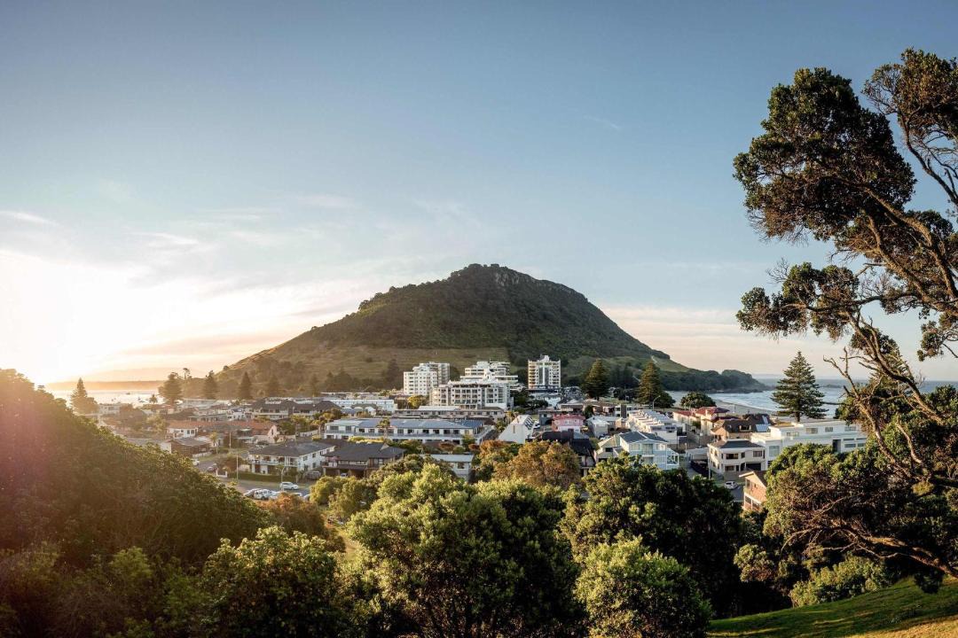 Photo of Others in Mount Maunganui