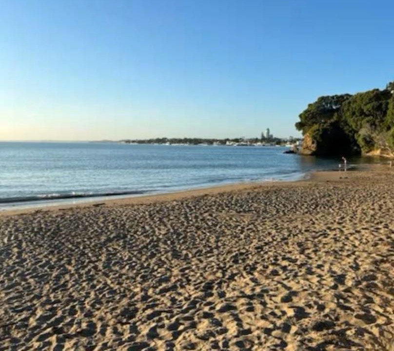 Photo of Others in Castor Bay