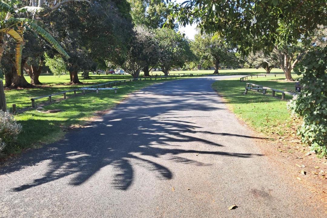 Photo of Others in Manly