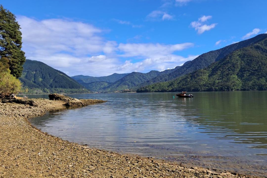 Photo of Others in Moetapu Bay