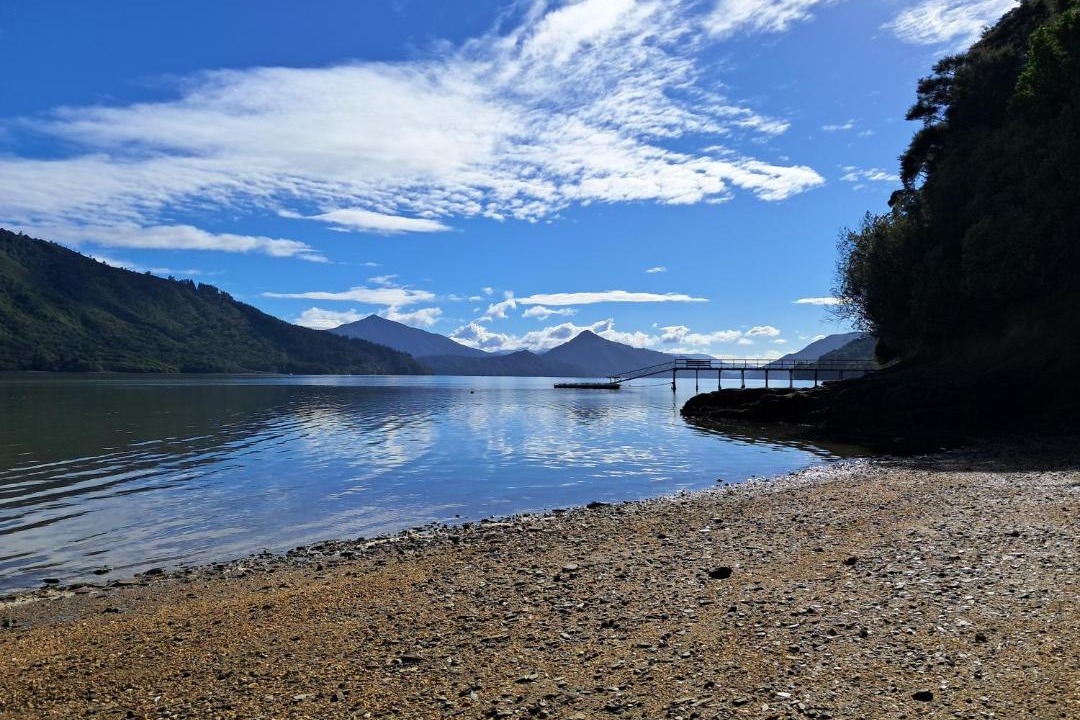 Photo of Others in Moetapu Bay
