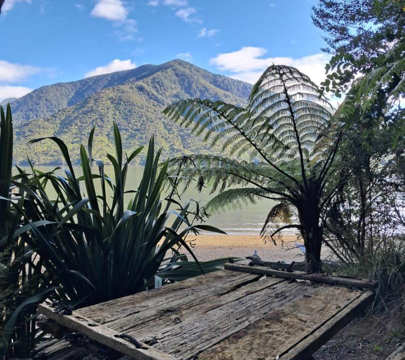 Photo of Others in Moetapu Bay
