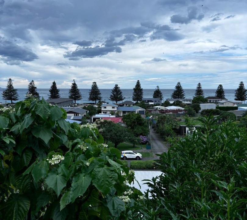 Photo of Others in Kaikoura