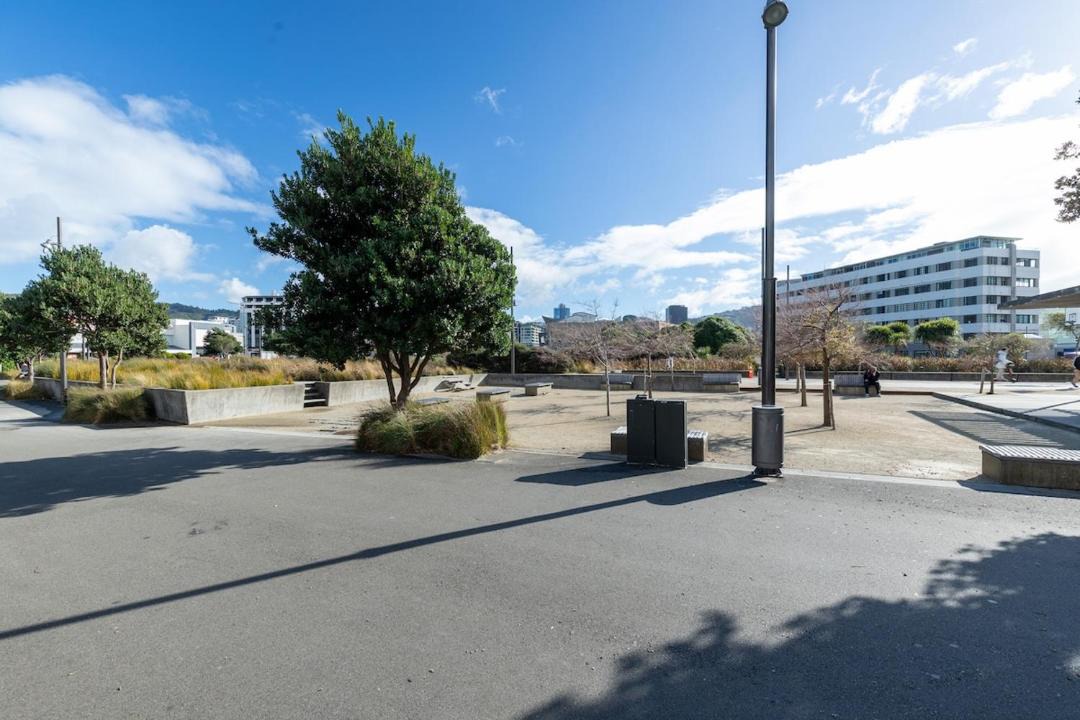 Photo of Others in Oriental Bay