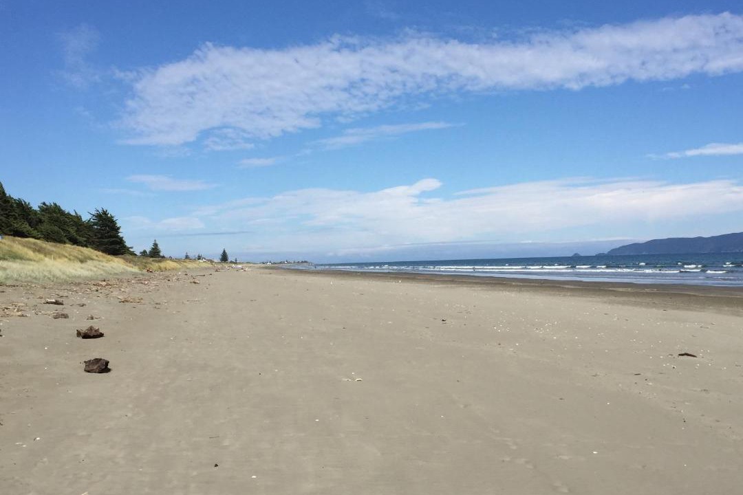 Photo of Others in Waikanae
