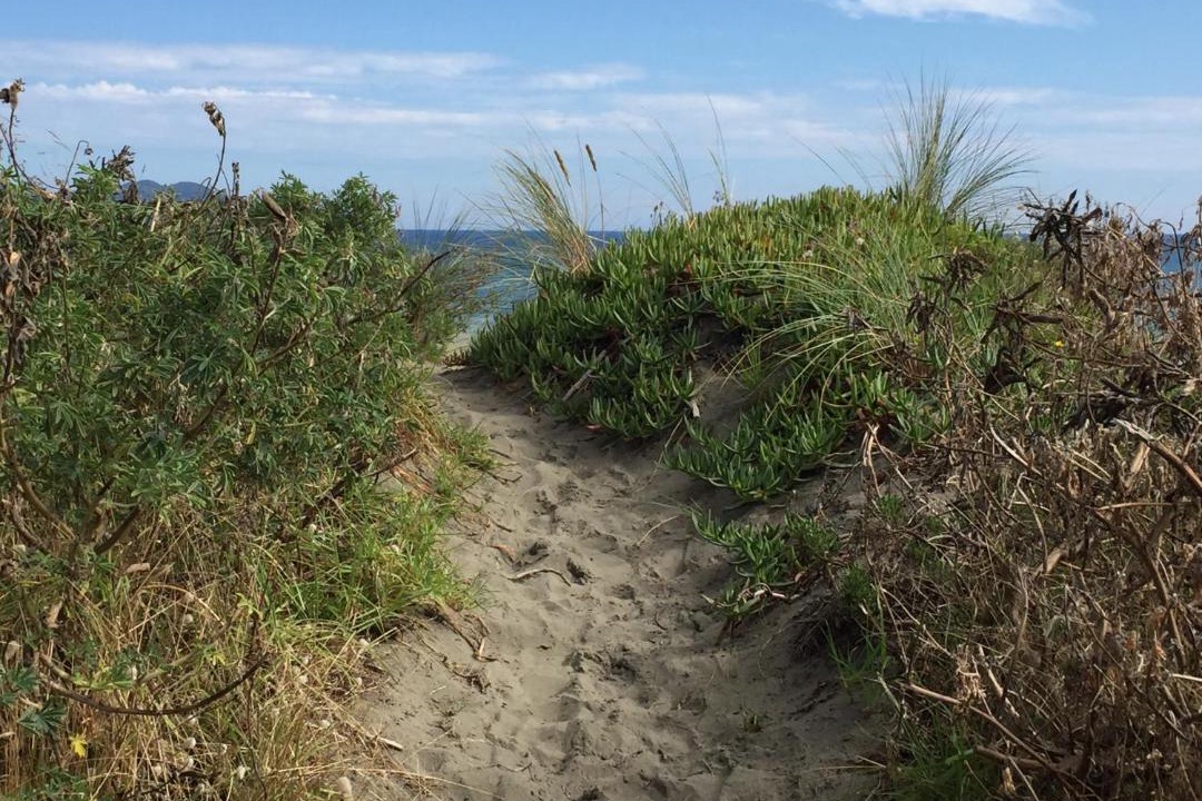 Photo of Others in Waikanae