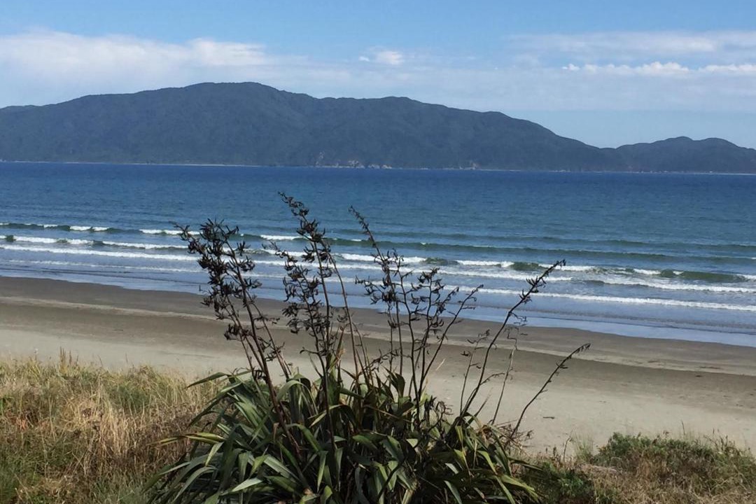 Photo of Others in Waikanae
