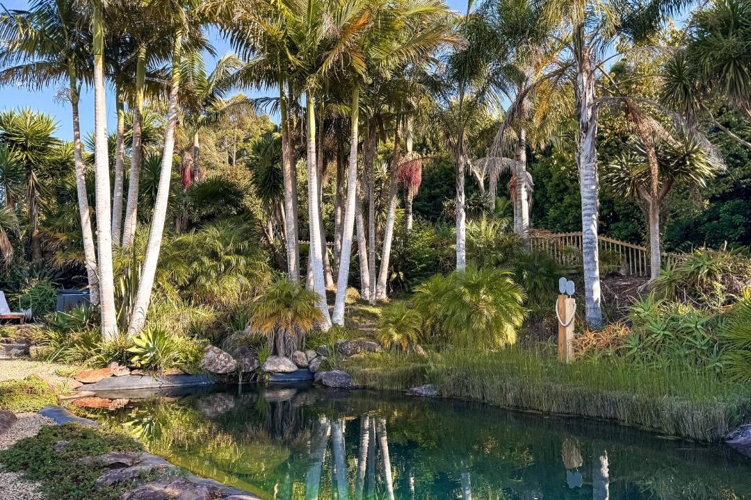 Photo of Others in Kerikeri