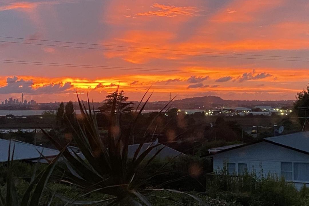 Photo of Others in Te Atatu South