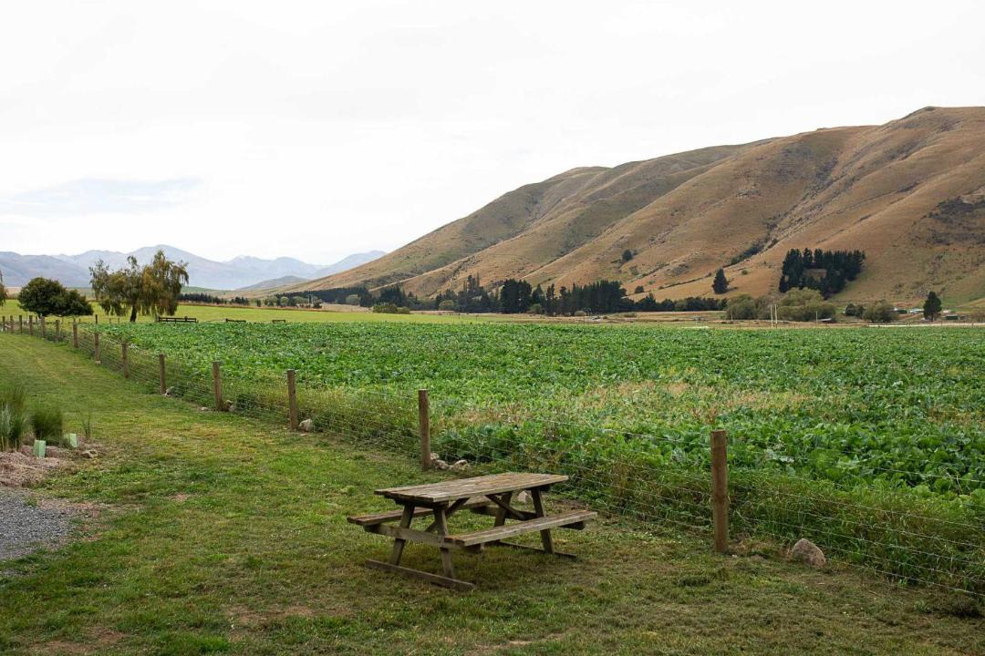 Photo of Others in Mackenzie Country