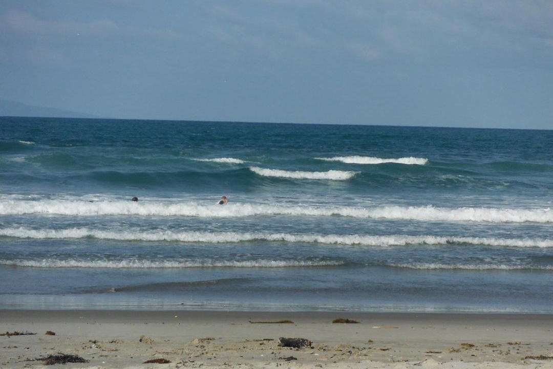 Photo of Others in Waihi Beach