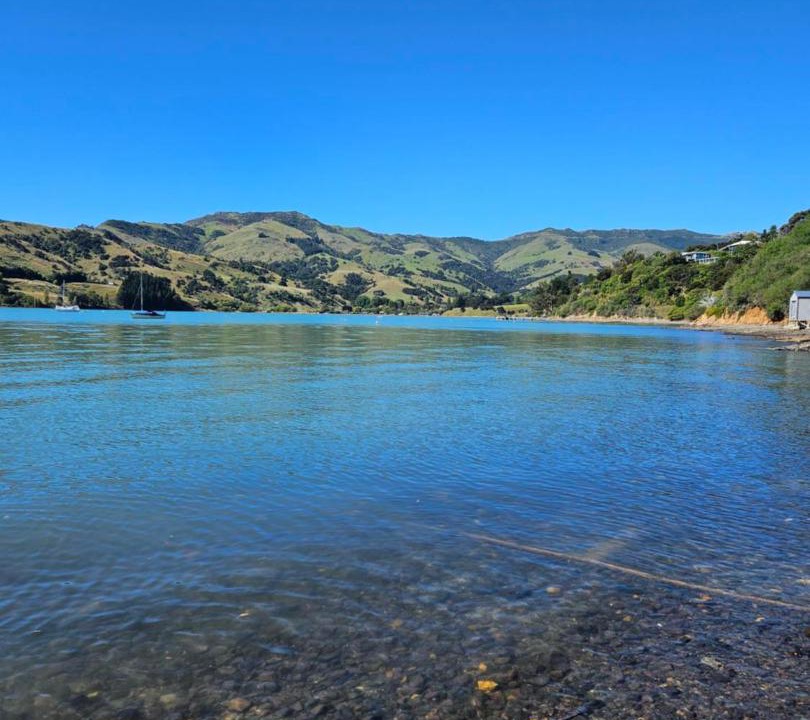 Photo of Others in Akaroa