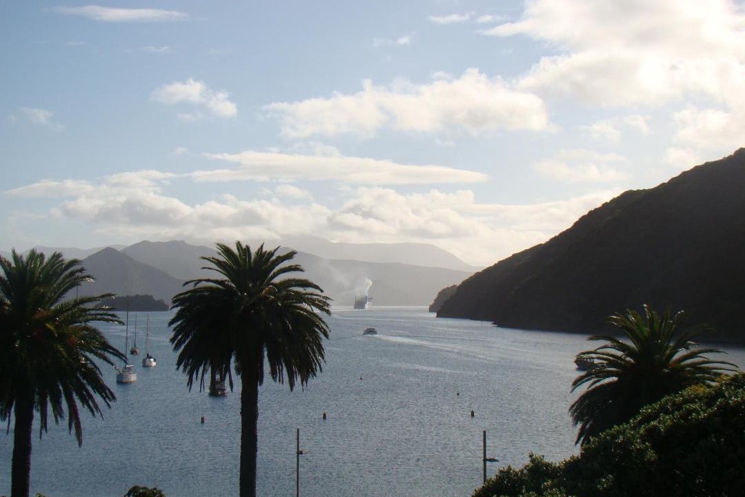 Photo of Others in Picton