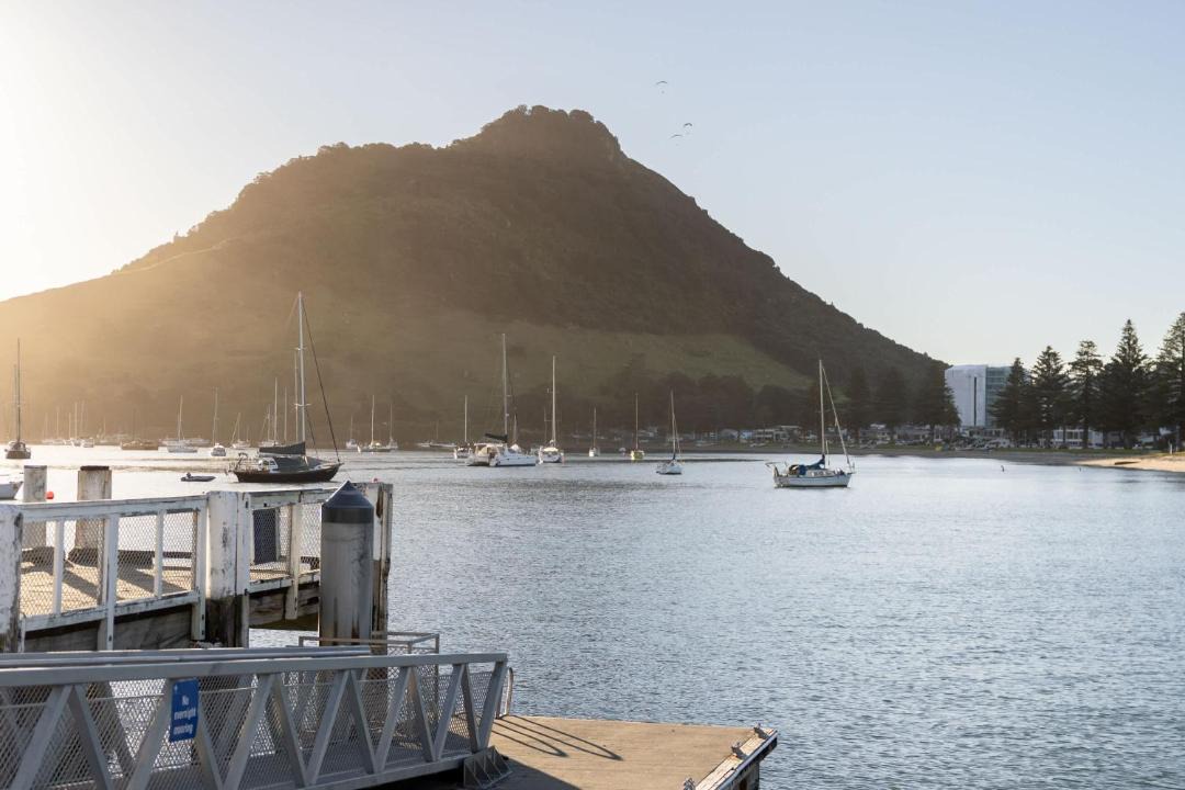 Photo of Others in Mount Maunganui