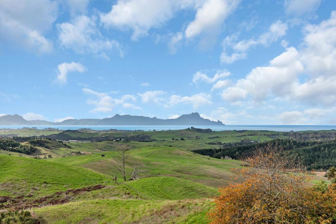 Photo of Others in Waipu