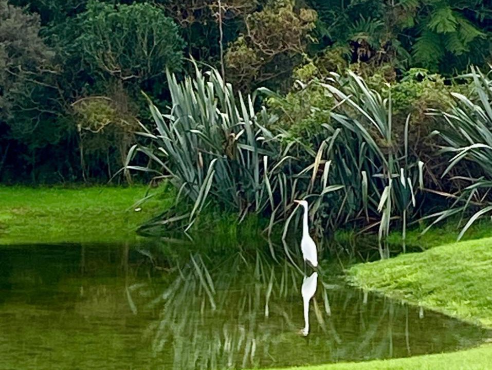 Photo of Others in Haast